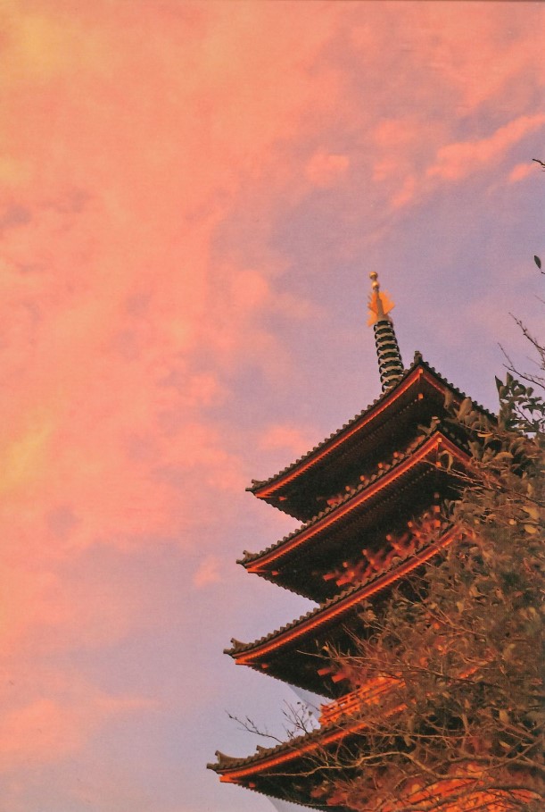 圖片11
