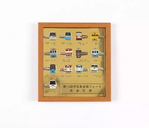 伊豆急全線電車紀念徽章